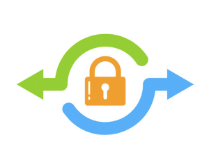 Security: Secure website transfer